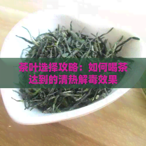 茶叶选择攻略：如何喝茶达到的清热解效果