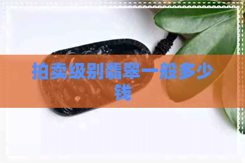 拍卖级别翡翠一般多少钱