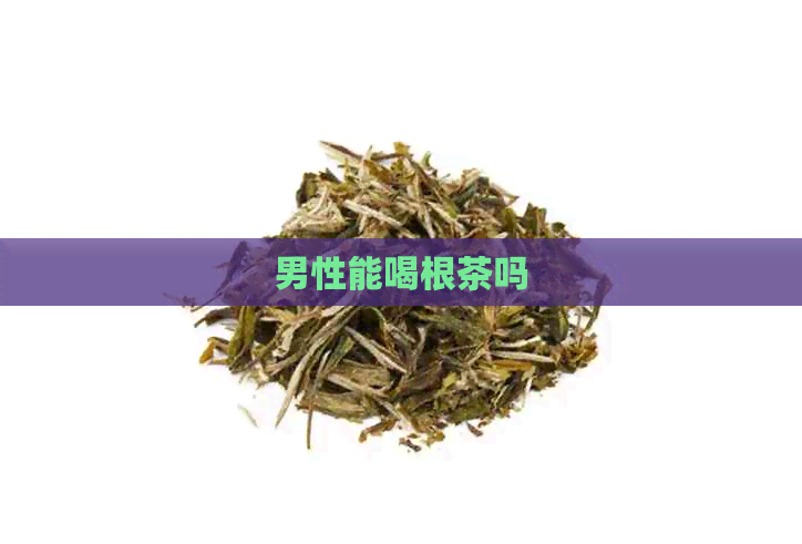 男性能喝根茶吗