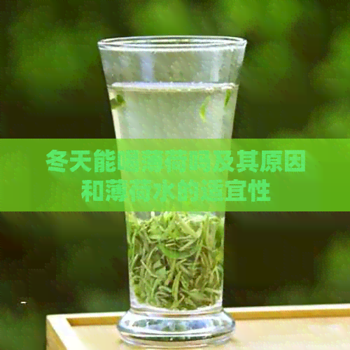 冬天能喝薄荷吗及其原因和薄荷水的适宜性