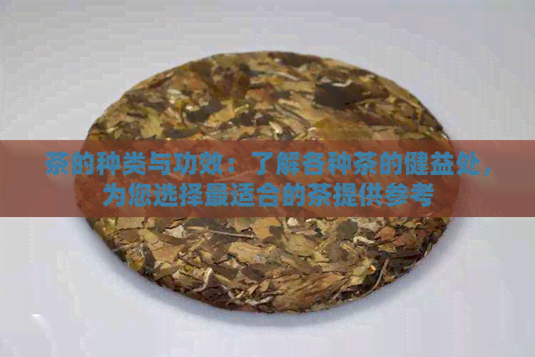 茶的种类与功效：了解各种茶的健益处，为您选择最适合的茶提供参考