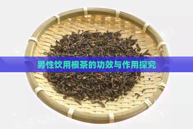 男性饮用根茶的功效与作用探究