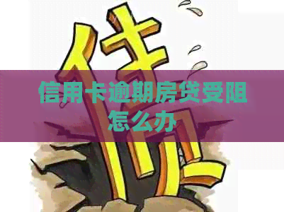 信用卡逾期房贷受阻怎么办