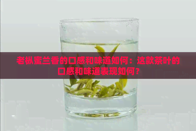 老枞蜜兰香的口感和味道如何：这款茶叶的口感和味道表现如何？