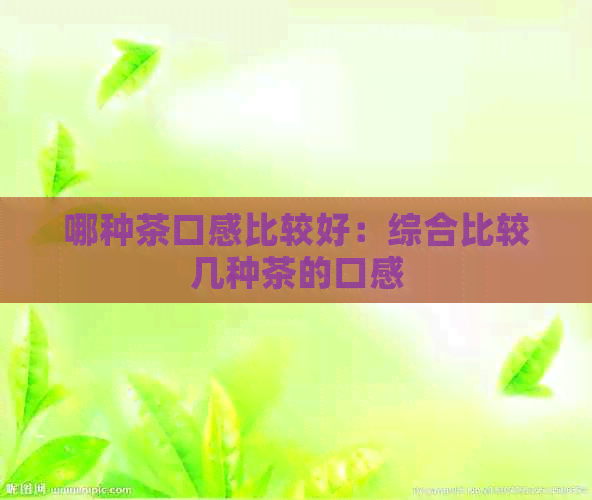 哪种茶口感比较好：综合比较几种茶的口感