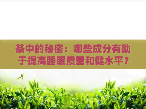 茶中的秘密：哪些成分有助于提高睡眠质量和健水平？