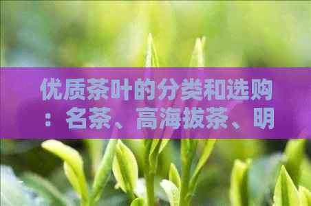 优质茶叶的分类和选购：名茶、高海拔茶、明前茶等，如何挑选适合自己的茶？