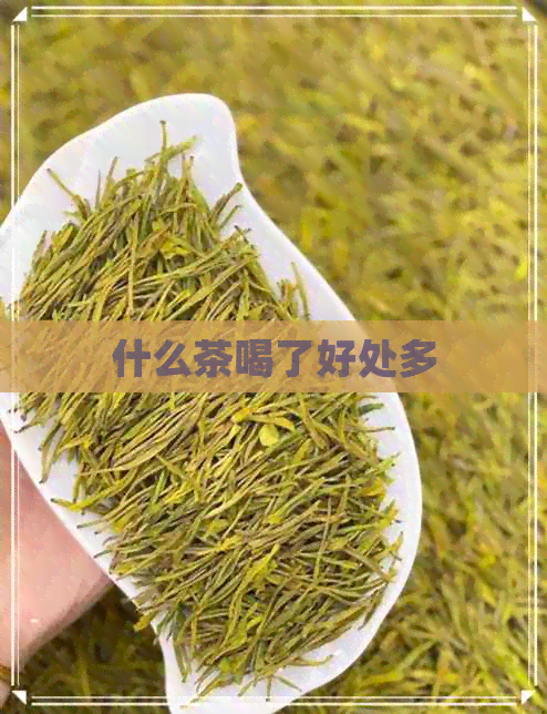 什么茶喝了好处多