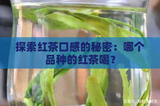 探索红茶口感的秘密：哪个品种的红茶喝？