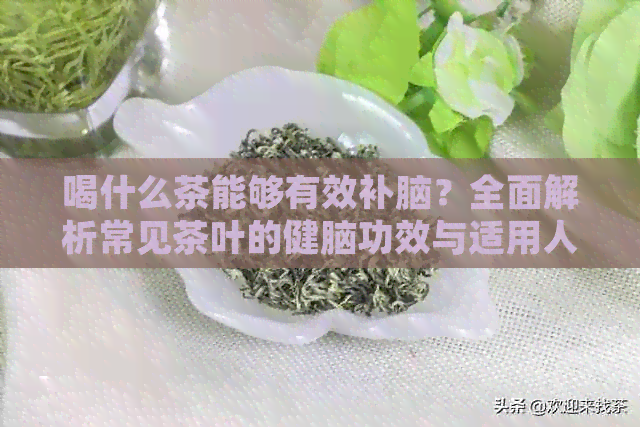 喝什么茶能够有效补脑？全面解析常见茶叶的健脑功效与适用人群