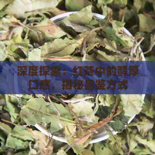 深度探索：红茶中的醇厚口感，揭秘品鉴方式