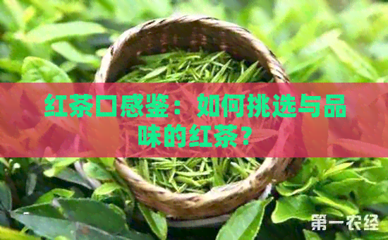 红茶口感鉴：如何挑选与品味的红茶？