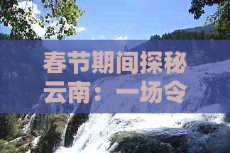 春节期间探秘云南：一场令人心动的旅行团费用解读