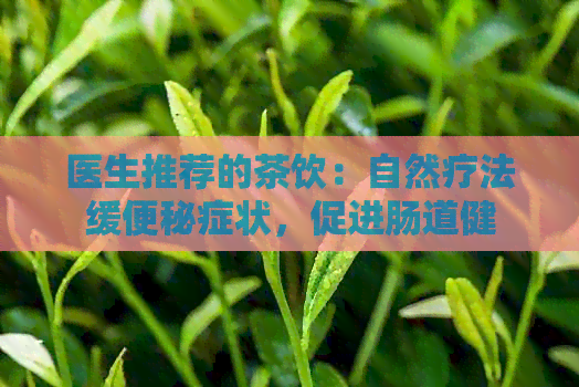 医生推荐的茶饮：自然疗法缓便秘症状，促进肠道健