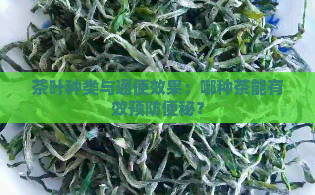 茶叶种类与通便效果：哪种茶能有效预防便秘？