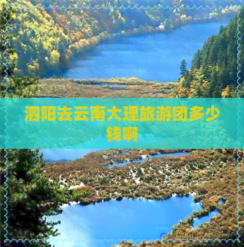 泗阳去云南大理旅游团多少钱啊