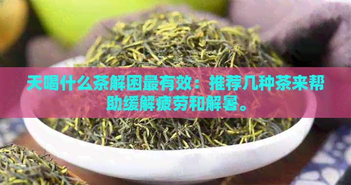 天喝什么茶解困最有效：推荐几种茶来帮助缓解疲劳和解暑。