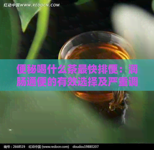 便秘喝什么茶最快排便：润肠通便的有效选择及严重调理建议