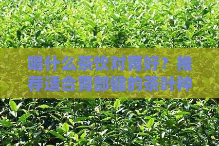 喝什么茶饮对胃好？推荐适合胃部健的茶叶种类及饮用方法