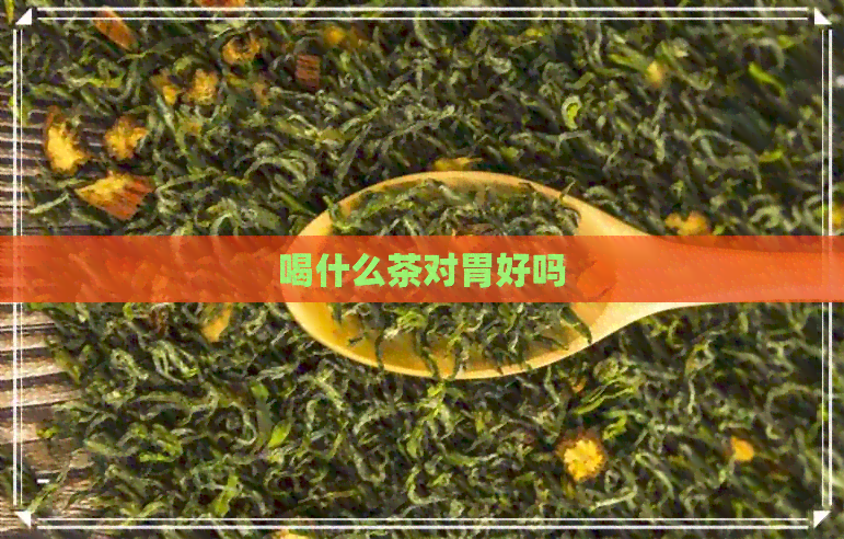 喝什么茶对胃好吗