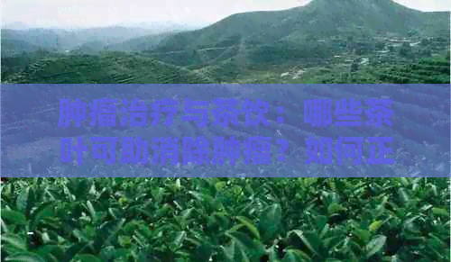 肿瘤治疗与茶饮：哪些茶叶可助消除肿瘤？如何正确饮用以发挥疗效？