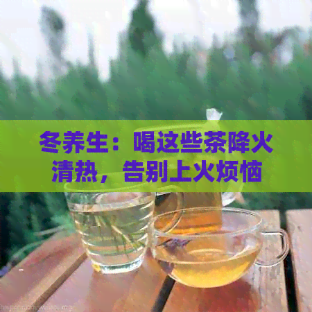 冬养生：喝这些茶降火清热，告别上火烦恼