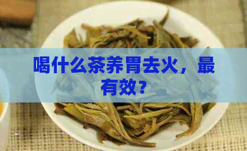 喝什么茶养胃去火，最有效？