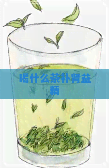 喝什么茶补肾益精