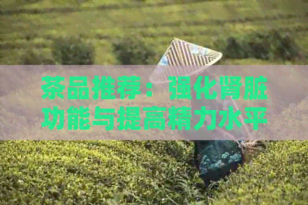 茶品推荐：强化肾脏功能与提高精力水平