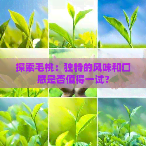 探索毛桃：独特的风味和口感是否值得一试？