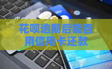 花呗逾期后能否用信用卡还款