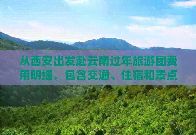 从西安出发赴云南过年旅游团费用明细，包含交通、住宿和景点门票等全面攻略