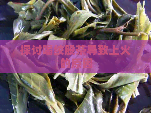 探讨喝绞股茶导致上火的原因