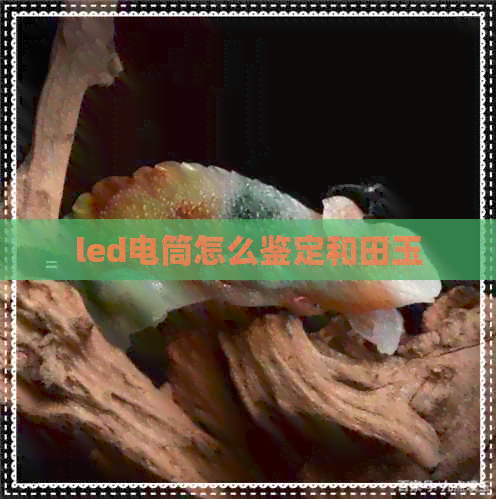 led电筒怎么鉴定和田玉