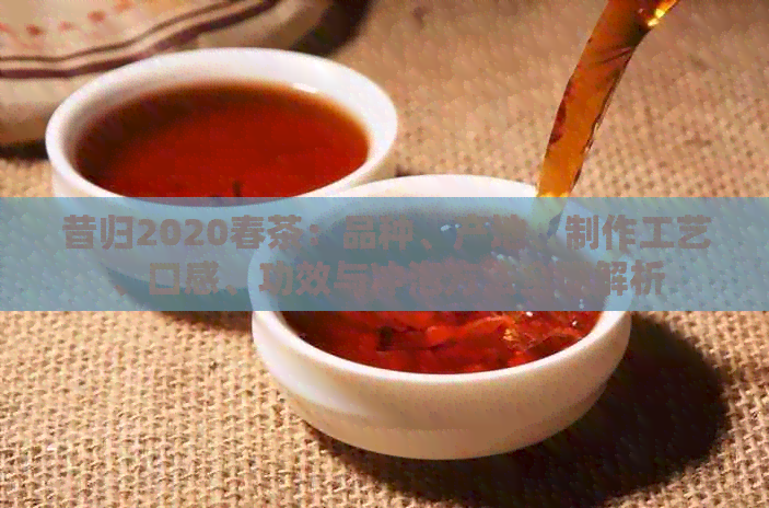 昔归2020春茶：品种、产地、制作工艺、口感、功效与冲泡方法全面解析