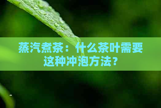 蒸汽煮茶：什么茶叶需要这种冲泡方法？