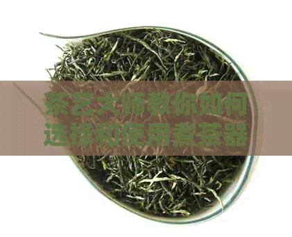 茶艺大师教你如何选择和使用煮茶器，解决各类茶叶的煮泡问题