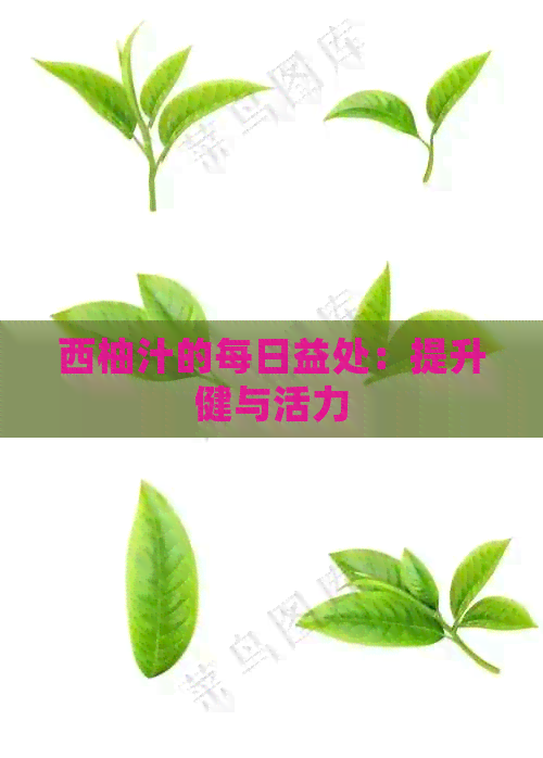 西柚汁的每日益处：提升健与活力