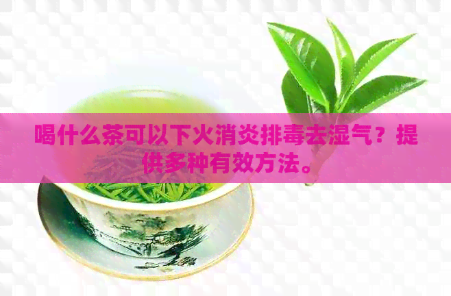 喝什么茶可以下火消炎排去湿气？提供多种有效方法。