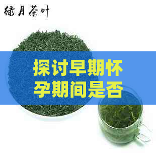 探讨早期怀孕期间是否可以饮用山茶花茶