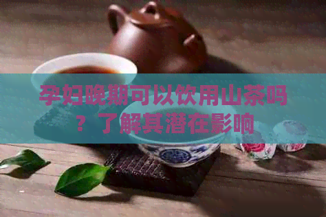 孕妇晚期可以饮用山茶吗？了解其潜在影响