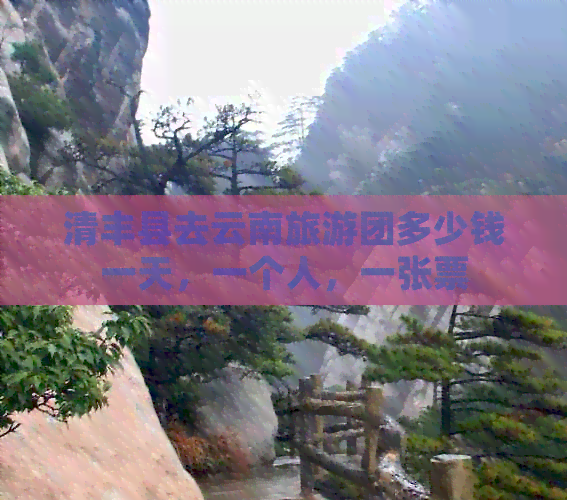 清丰县去云南旅游团多少钱一天，一个人，一张票