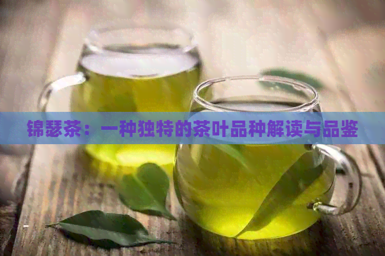 锦瑟茶：一种独特的茶叶品种解读与品鉴