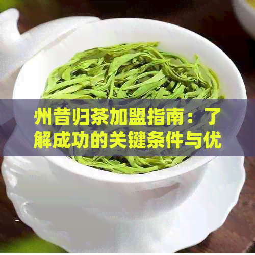 州昔归茶加盟指南：了解成功的关键条件与优势