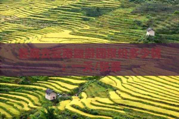 娄底去云南旅游团报价多少钱：一天/张票