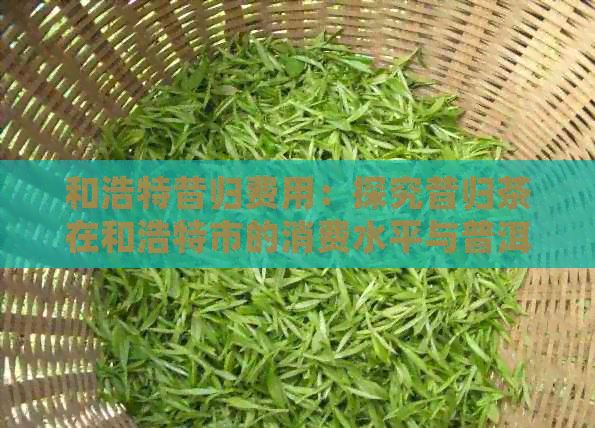 和浩特昔归费用：探究昔归茶在和浩特市的消费水平与普洱茶价格关联