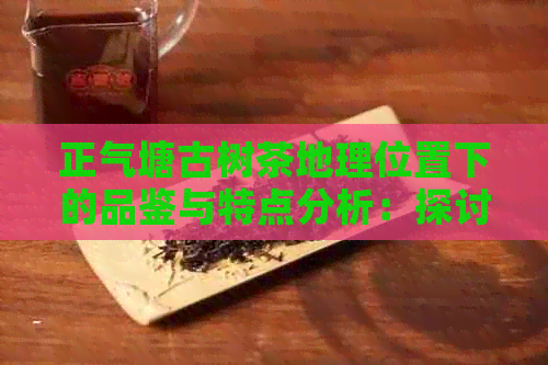 正气塘古树茶地理位置下的品鉴与特点分析：探讨其树龄与普洱茶价值