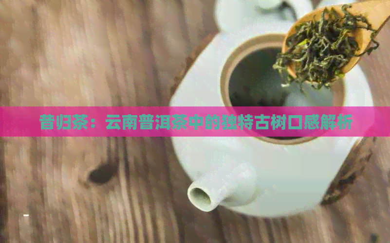 昔归茶：云南普洱茶中的独特古树口感解析