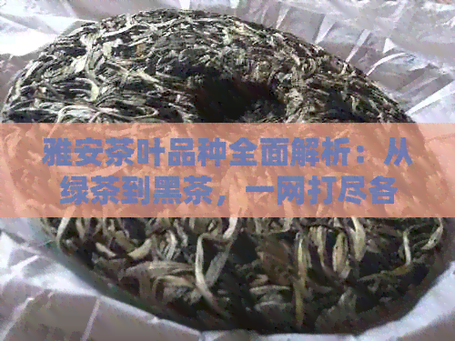 雅安茶叶品种全面解析：从绿茶到黑茶，一网打尽各类特色茶品