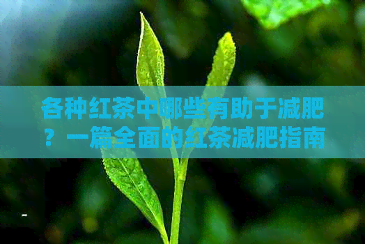 各种红茶中哪些有助于减肥？一篇全面的红茶减肥指南